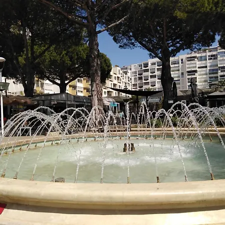Lägenhet Spacieux 2 Chambres, 4 Personnes, Terrasse Vue Port , Wifi Gratuit Et Parking Prive Gratuit, Lave Linge, Congelateur, Situe Pres De La Plage, Commerces, Marche Et Restaurants Carnon-Plage