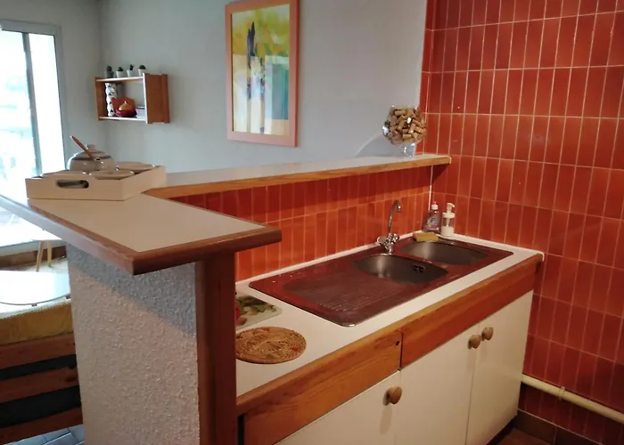 Spacieux 2 Chambres, 4 Personnes, Terrasse Vue Port , Wifi Gratuit Et Parking Prive Gratuit, Lave Linge, Congelateur, Situe Pres De La Plage, Commerces, Marche Et Restaurants