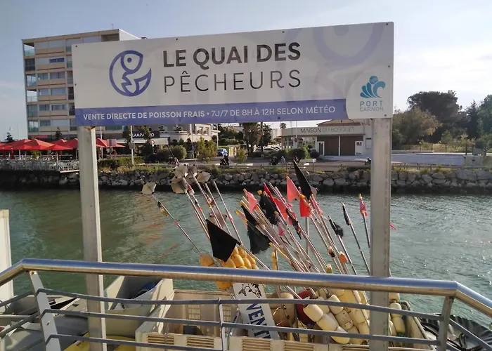 Spacieux 2 Chambres, 4 Personnes, Terrasse Vue Port , Wifi Gratuit Et Parking Prive Gratuit, Lave Linge, Congelateur, Situe Pres De La Plage, Commerces, Marche Et Restaurants
