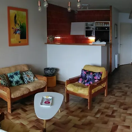 Spacieux 2 Chambres, 4 Personnes, Terrasse Vue Port , Wifi Gratuit Et Parking Prive Gratuit, Lave Linge, Congelateur, Situe Pres De La Plage, Commerces, Marche Et Restaurants